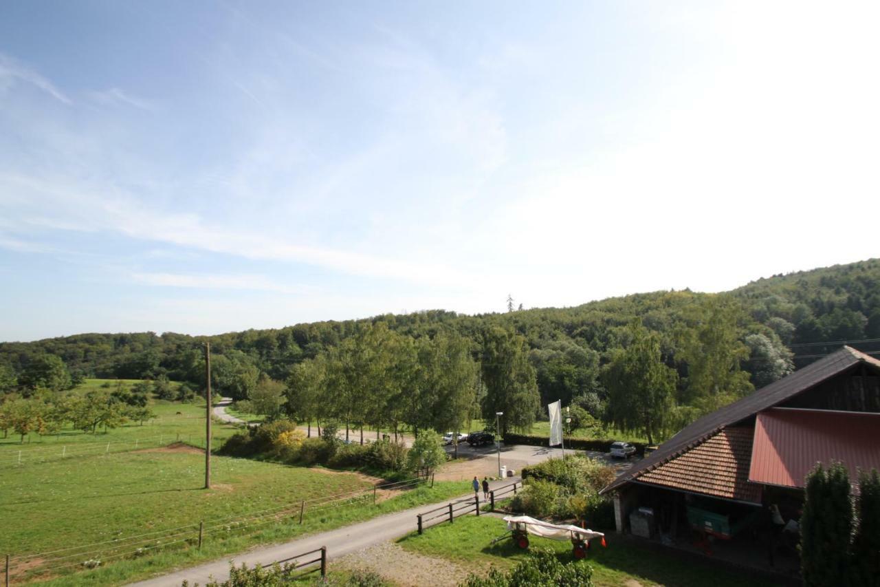 Ferienwohnung Edelbrenner Rimbach  Exteriör bild